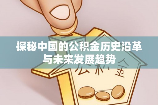 竹北探秘中国的公积金历史沿革与未来发展趋势