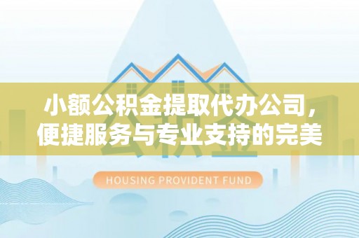 竹北小额公积金提取代办公司，便捷服务与专业支持的完美结合