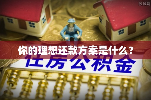 竹北你的理想还款方案是什么？