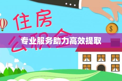 竹北专业服务助力高效提取