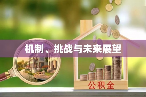 竹北机制、挑战与未来展望